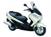 2011 Suzuki Burgman 125 photo